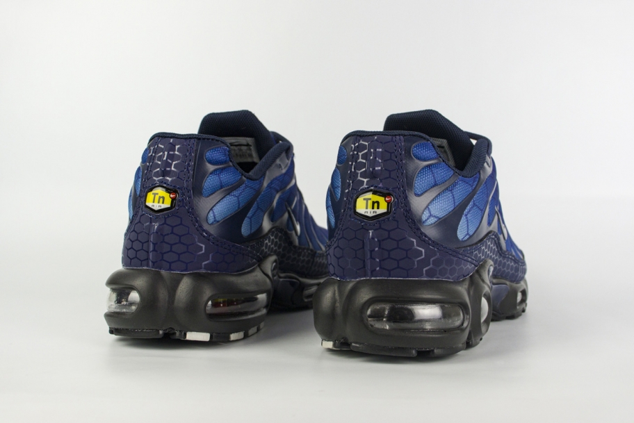 Nike Air Max Plus Tn Blue Firebox